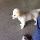 제이모터스(J모터스) 이미지