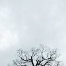 구.울산초 이미지