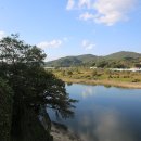 판관 조병로 불망비 이미지