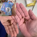 금수강산헬스 | 조건 없는 사랑이란?