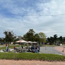 용평면사무소 | 재개장한 충주 목계솔밭 캠핑장 후기 D7사이트 매점 이용시간과 바비큐존 정보까지