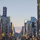 나리스시 | 오사카, 교토 4박 5일 여행 | 3일차 : 니시키 시장, 카미나리 스시, 원더 크루즈, 스미야 코바코
