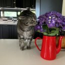 오씨주택 이미지