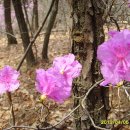 초정공원 이미지