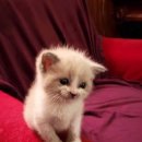 명지오션시티동물병원 이미지