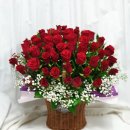 에덴플라워 이미지