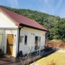 스테이느릿 이미지