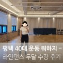 라인댄스, 다이어트댄스 | 평택 40대 운동 추천 - 샤인 댄스 스튜디오 라인댄스 두 달 수강 후기