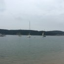 노랑머리앤 이미지