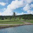 파란골프 이미지