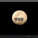 오리 날다 - 무안군 | 오리 날다