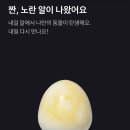 폴라포 이미지
