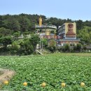 힐링빌리지 이미지