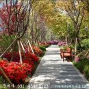 내손중앙로 이미지