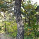 원주굽이길 3코스 회촌달맞이길 이미지