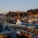 방어진활어센터 이미지