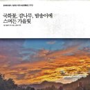 문덕면사무소 이미지