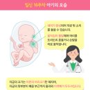 [임신 중기] 임신 16주차 증상, 소화불량을 피하는 법 이미지