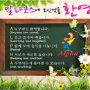 알파코스 이미지