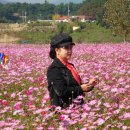 청암마을회관 이미지