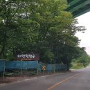 태양 힐링