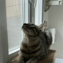 코끼리동물병원 이미지