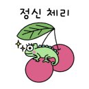 포항세꼬시 이미지