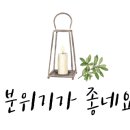 곶자왈거문오름 이미지