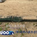 팔곡초등학교 이미지