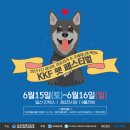 펫페스티벌