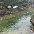 송이매점 | 쌍곡계곡 송이펜션 평상 내돈내산 비추후기