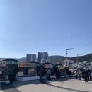 바닷가엄마집 | 부산 기장 연화리 해녀촌 포장마차 추천 첫집할매 희철이건희엄마집 내돈내산 후기