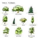 크리에이티브 코딩 이미지