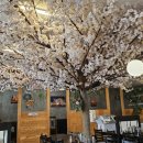 다복콩국수&보쌈