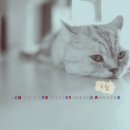 부산정비 이미지