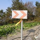 서해랑 13(해남 문내면 무고리~임하도~충무사~우수영 국민관광지) 이미지