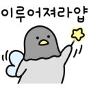 올라포케 이미지