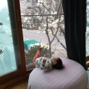 드디어 방범추락방지방충망을 달았다(feat. 고구려방충망: 많은업체검색끝에 라운드형 가능하다고해서...