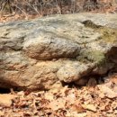 국사봉 지석묘군 이미지