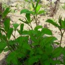 김천한솔펜션 이미지