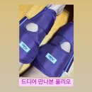 알럽도그 | 주간일기 | 촬영장 갔다가 한남동 삼각지 여기저기
