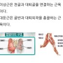 왼겨드랑이와 전거근으로 만드는 전환동작 이미지