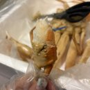 달동네 | 경북 영덕 맛집 달동네영덕대게 내돈내산 포장 후기 및 꿀팁