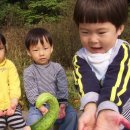찬민농장 Daum카페