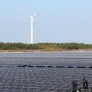 궁항태양광발전소 이미지