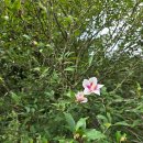 경주산림환경연구원 | 경주 가볼 만한 곳, 경북천년숲정원 산림환경연구원 방문 후기, 주차, 입장료