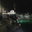 낭만가도 후진 이미지