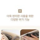 원주의자 이미지