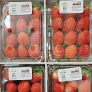 조양농원 이미지