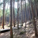 숲길농원 이미지